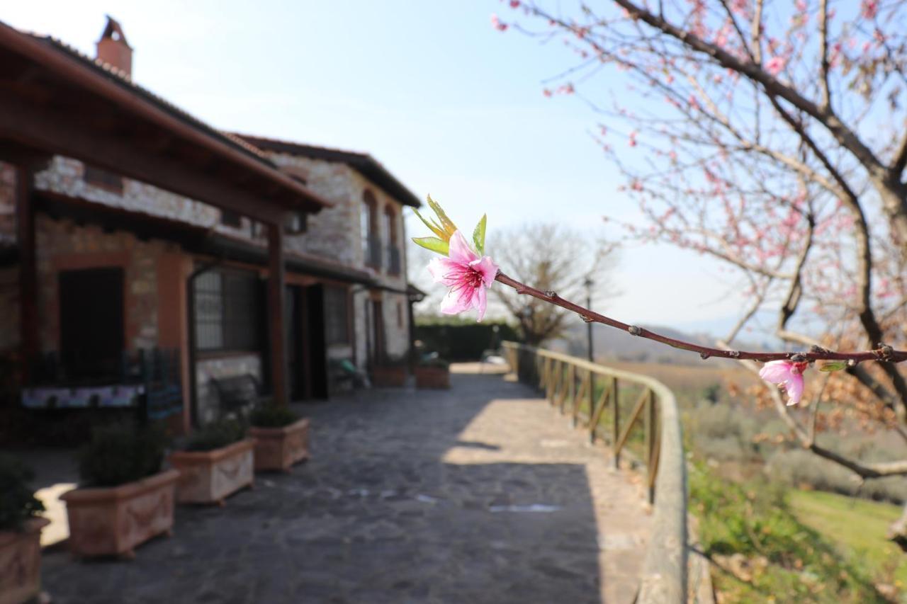 B&B Casale Roshlee Gualdo Cattaneo Luaran gambar